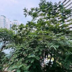 Blk 304A Anchorvale Court (Sengkang), HDB 4 Rooms #574205761